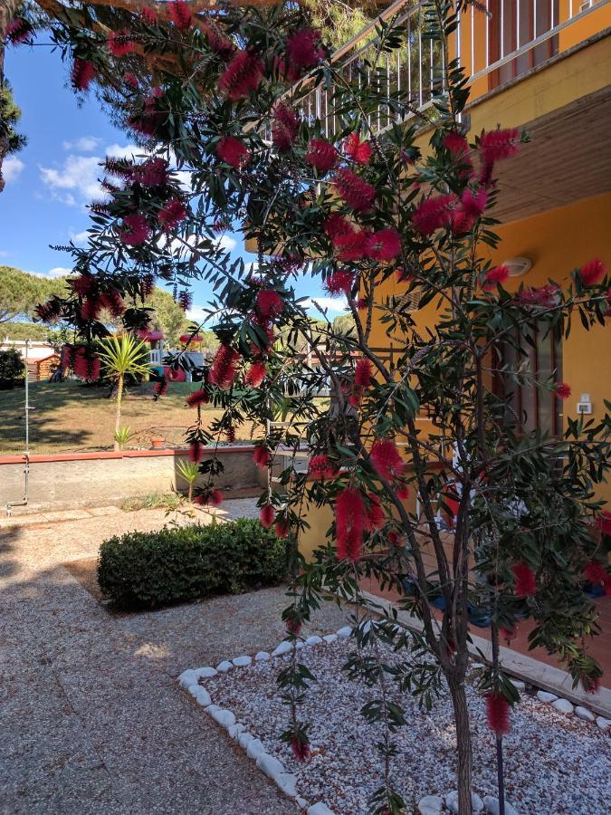 Aparthotel Le Rose